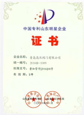 China Patent Shandong Star Enterprise