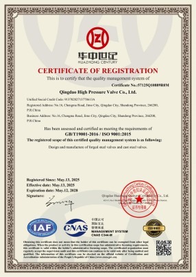 ISO9001 System Certification